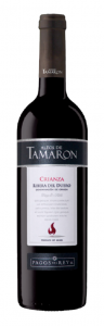 Felix Solis Tamaron Tinto Crianza