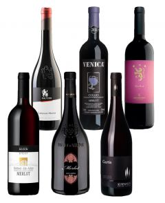 Merlot Wein-Set 6x0,75l | GBZ - Die Getränke-Blitzzusteller